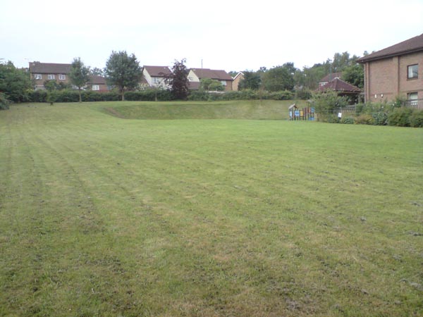 DSC00310